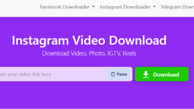 Instagram Downloader - Download Instagram Video, Photos, IGTV with InstSaves