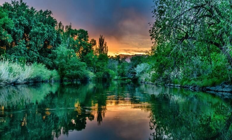 brand visibility analysis matrix