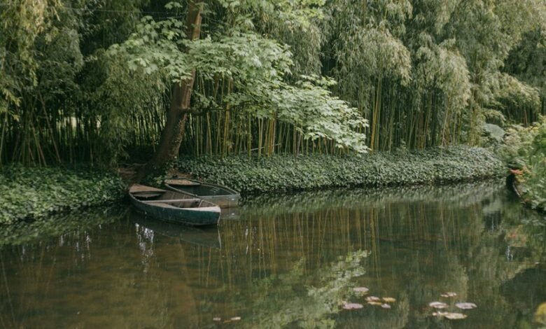 monetization engagement revenue loop