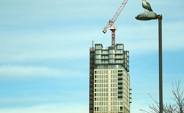 online growth expansion tool