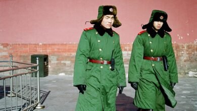 online presence development guide