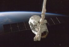 apex orbit business surge