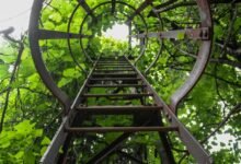 innovative radiant flow strategy