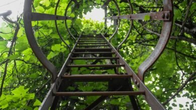 innovative radiant flow strategy