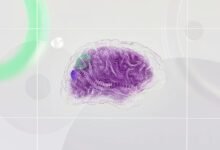 velocity grid evolution analysis