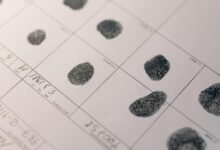 advanced record analysis includes ids and links