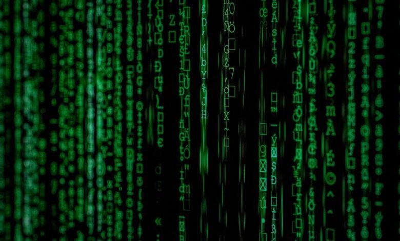 digital record inspection identifiers 3517156548 3791025056 bdr767243202 potoacompanhate