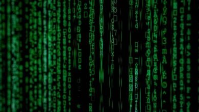 final data audit details numbers and code
