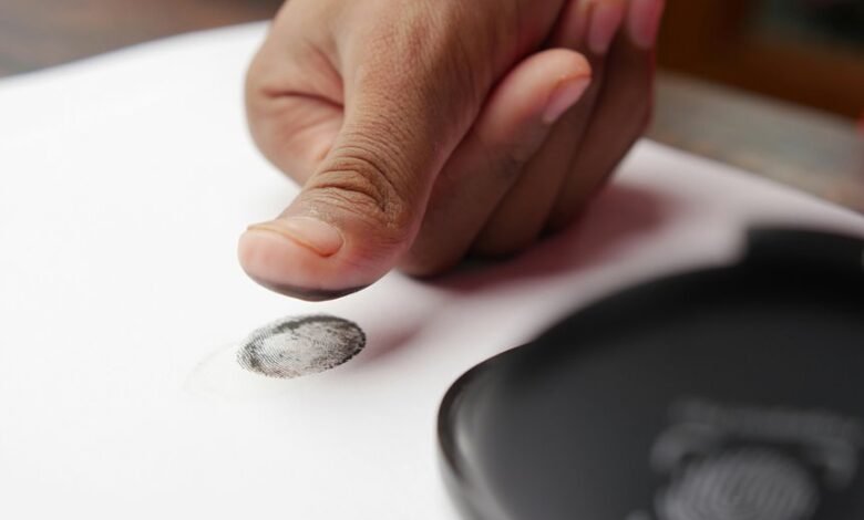 identifier accuracy scan for bolbybol and adujtwork