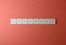 user identifier and keywords 3886405305 ctylgekmc sweeetbby333