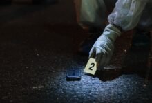 inspect numbers registry entries precisely