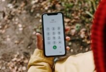 list of inbound numbers provided