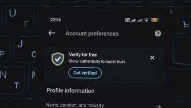 list of phone numbers for verification