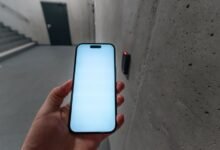 phone ids listed multiple numbers