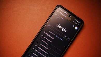 phone numbers associated identities found