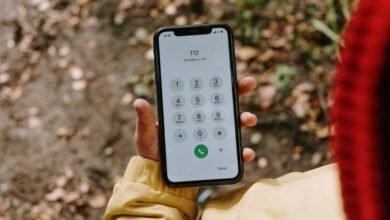 phone numbers for owner lookup