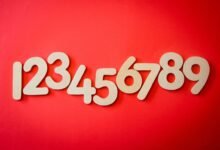 phone numbers for verification data