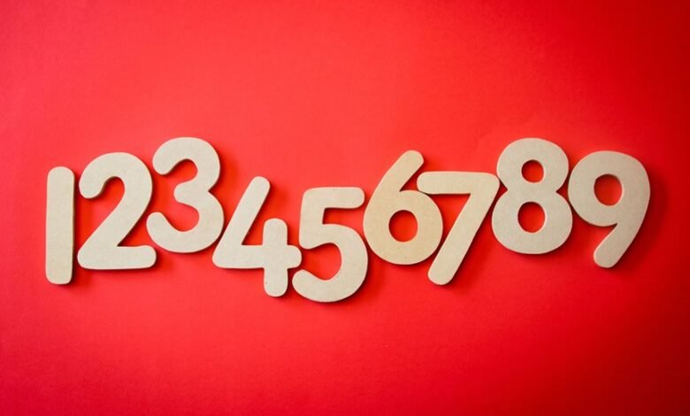 phone numbers for verification data