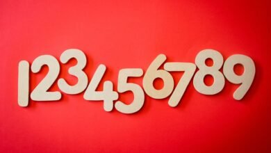 phone numbers for verification list