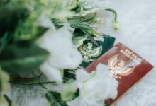 registry lookup records specific ids