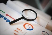 registry lookup reports for five ids