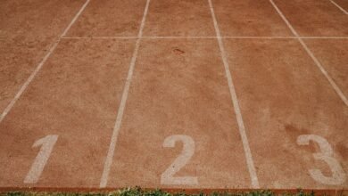 track numbers 3293342285 3761362288 3450813980 3294692296