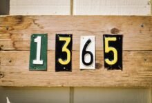 verified registry ids and details